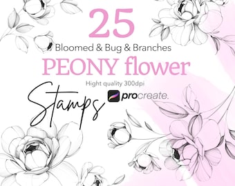 Procreate用牡丹スタンプ｜ファインラインタトゥーデザイン（デジタルダウンロード）