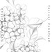 Hydrangea Tattoo Design Printable Stencil Instant Download - Etsy