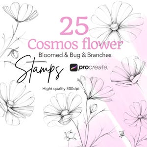 May include: Digital stamps showcasing 25 cosmos flower designs, including bloomed flowers, bugs, and branches. The image includes the text "Stamps" and "Procreate", with a high-quality 300dpi resolution.