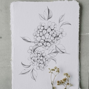 Hydrangea Tattoo Design Printable Stencil Instant Download Original Art ...
