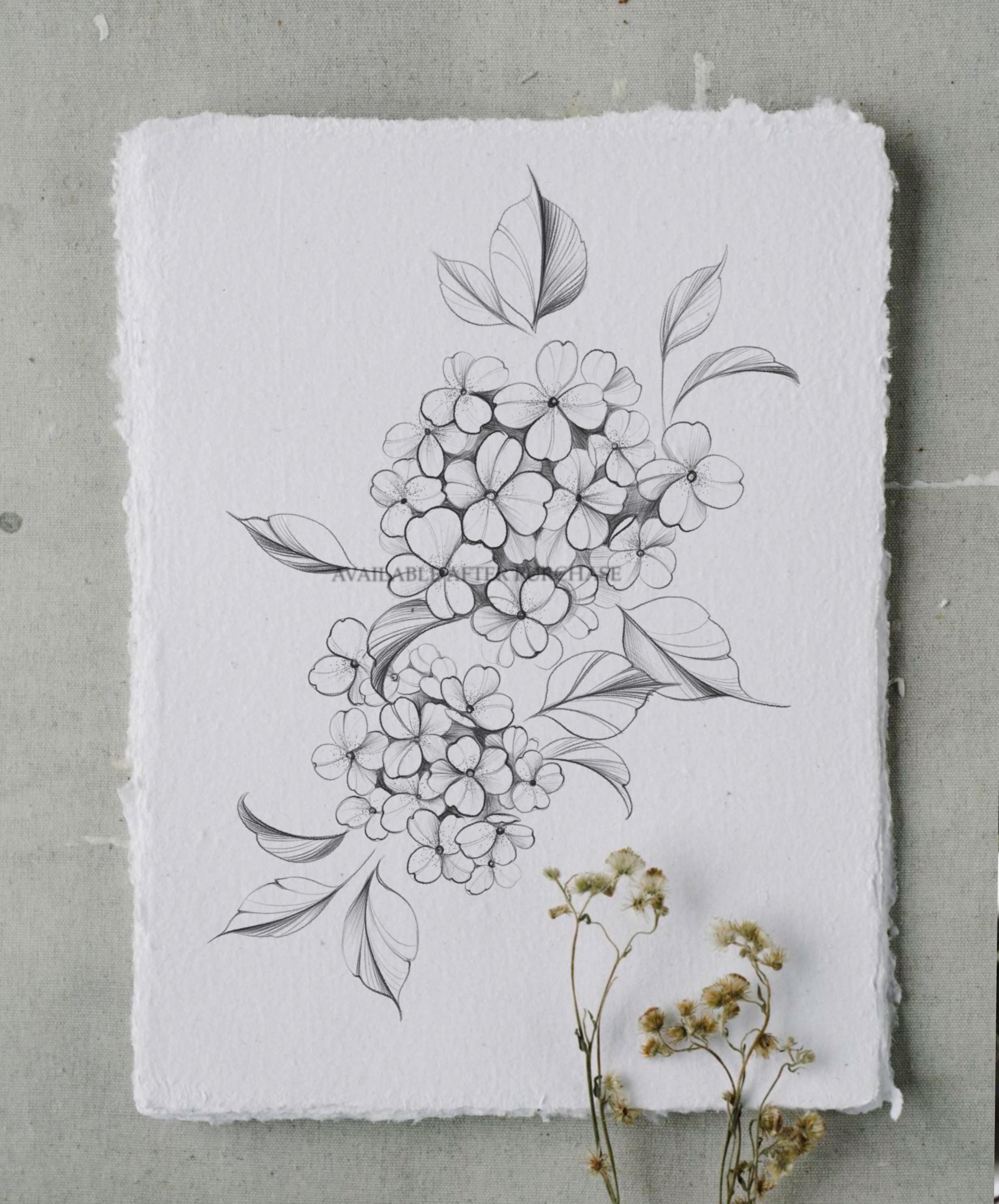 Hydrangea Tattoo Design Printable Stencil Instant Download - Etsy