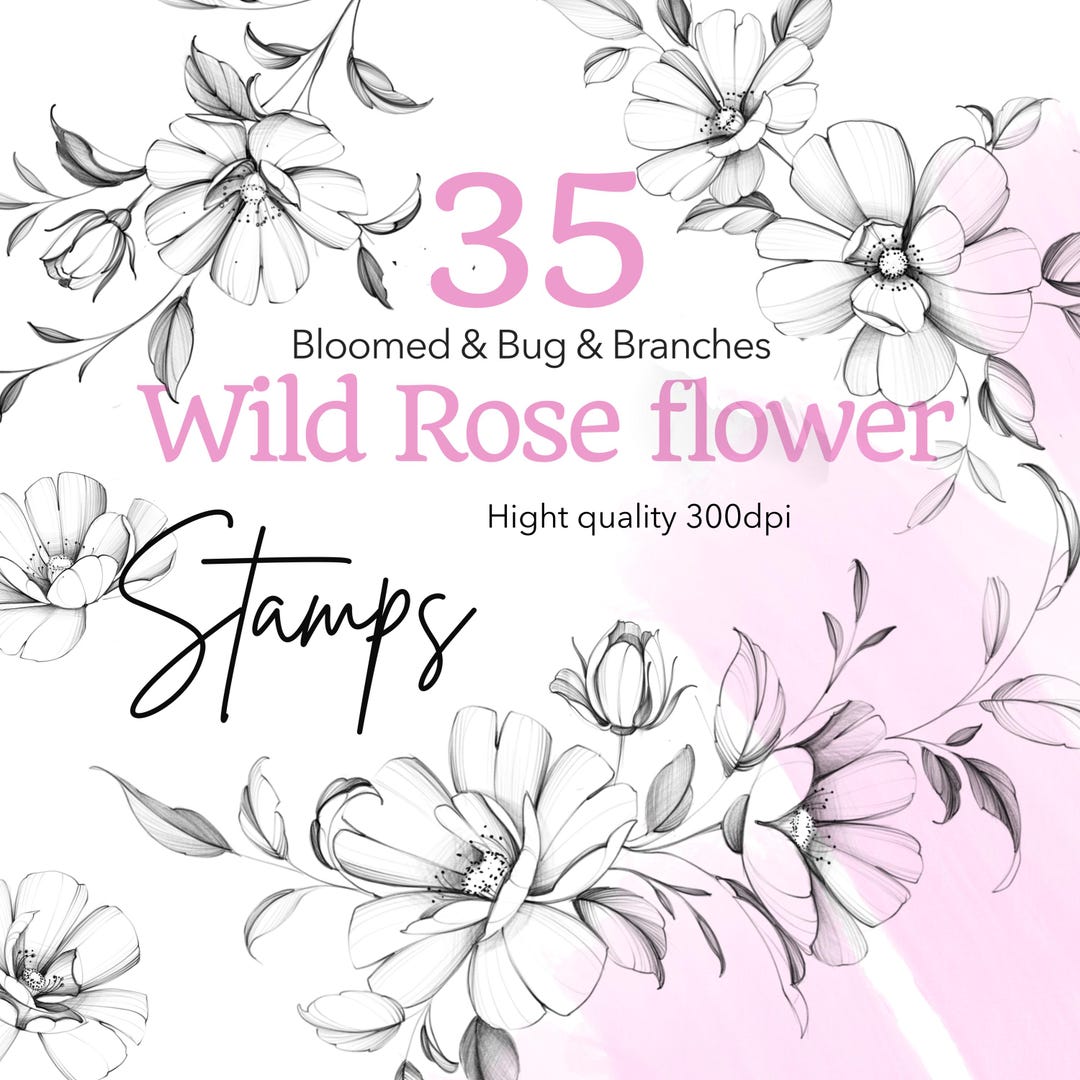 Wild Rose Stamps for Procreate | Fineline Tattoo Design (digital ...