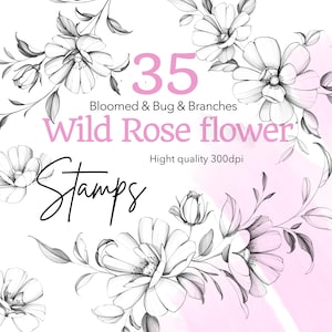 Può includere: Illustrazione digitale con timbri floreali di fiori di rosa selvatica. Il design include il testo "35 Bloomed & Bug & Branches Wild Rose flower Stamps" in rosa e nero, con alta qualità 300 dpi.