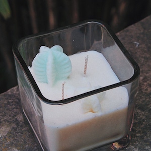 Terrarium Soy Candle - all natural soy wax cactus and succulent planter; create custom scented gift with natural essential oils; handmade