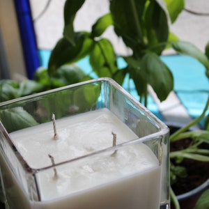 14 oz Outdoor Container Candle - essential oil infused large outdoor soy candle for patio, defend backyard from pesky flies, mosquitos etc.