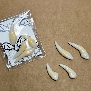 Vampire fangs set