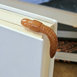 May include: A brown worm-shaped bookmark is placed on the edge of a white book.