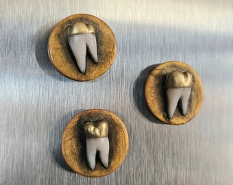 Gold tooth magnet trio