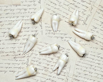 Molar tooth charms 10 pcs