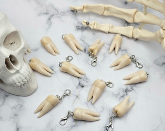 Molar tooth charm