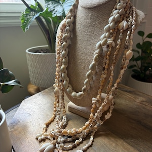 Seashell Lei Set: Authentic Pacific Ocean Shells, Polynesian Celebration Leis