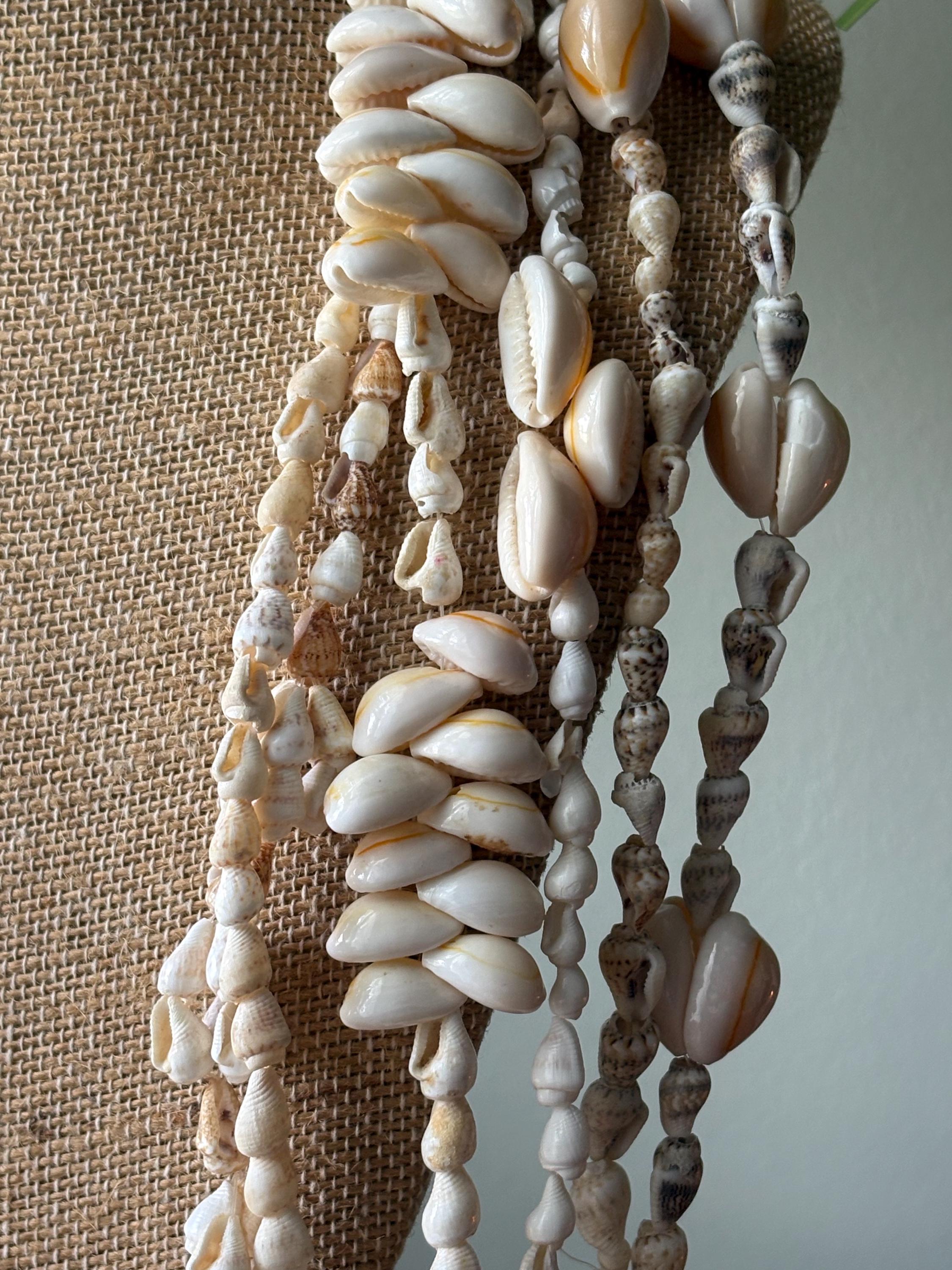 Unique Shell Lei Seashell Lei Collection: Authentic Pacific Shell Leis, Celebration ...