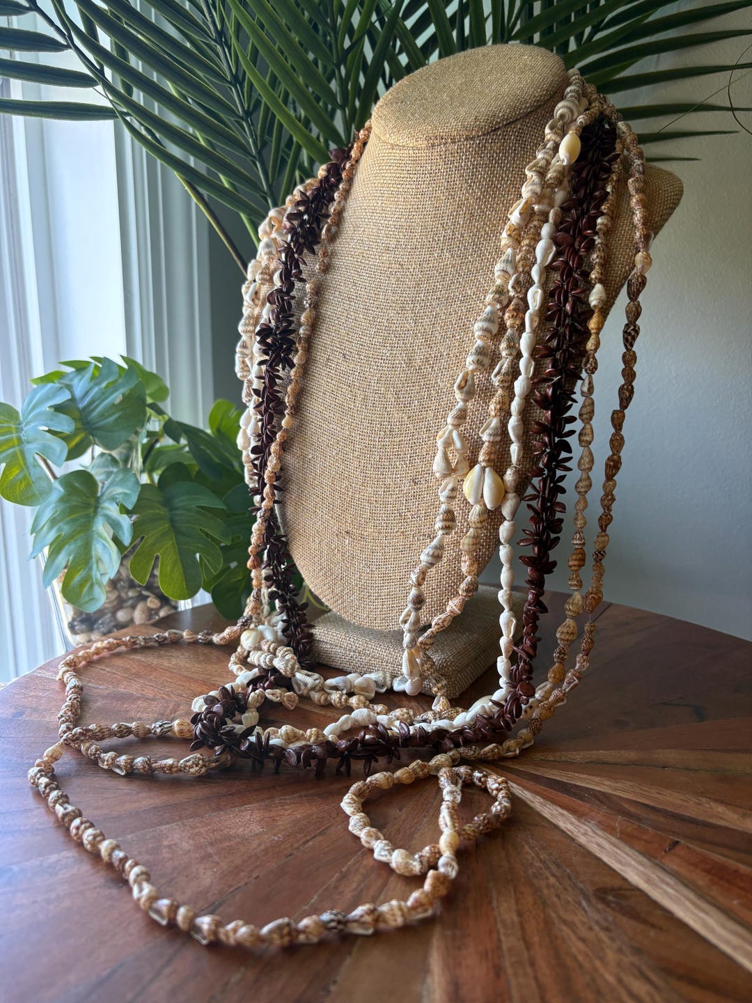 Seashell Lei Collection: Authentic Pacific Shell Leis, Celebration ...
