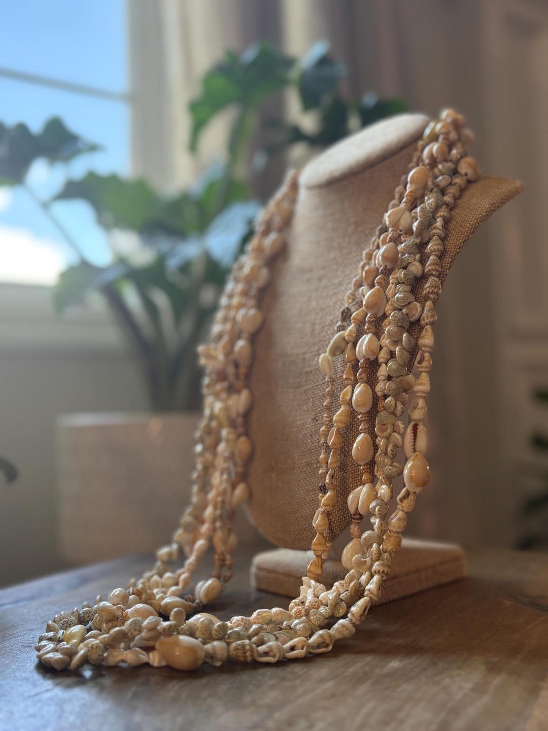 Shell Ribbon Lei Seashell Lei Set – Pacific Ocean Shells, Celebration Leis - Etsy