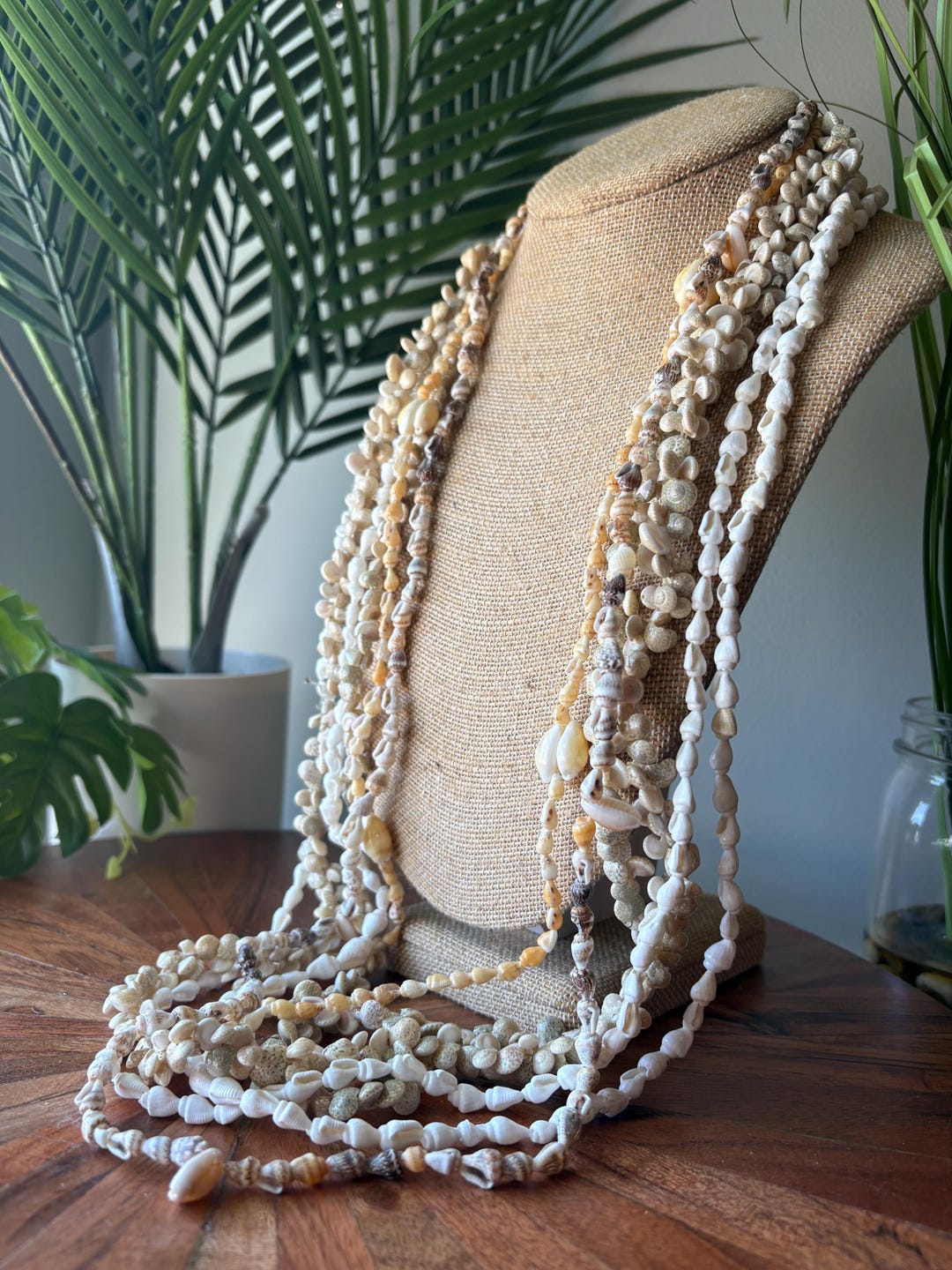 Seashell Lei Collection: Authentic Pacific Shell Leis, Celebration ...