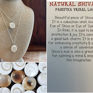 Natural Shiva Eye - Real Authentic Fossilized Seashell Pendant on .925 Silver Plated Chain