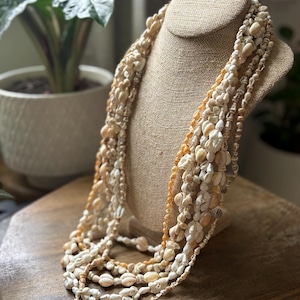 Muschel Lei Set: Pazifischer Ozean Muschel Abschlusskette (34-36 &quot;)