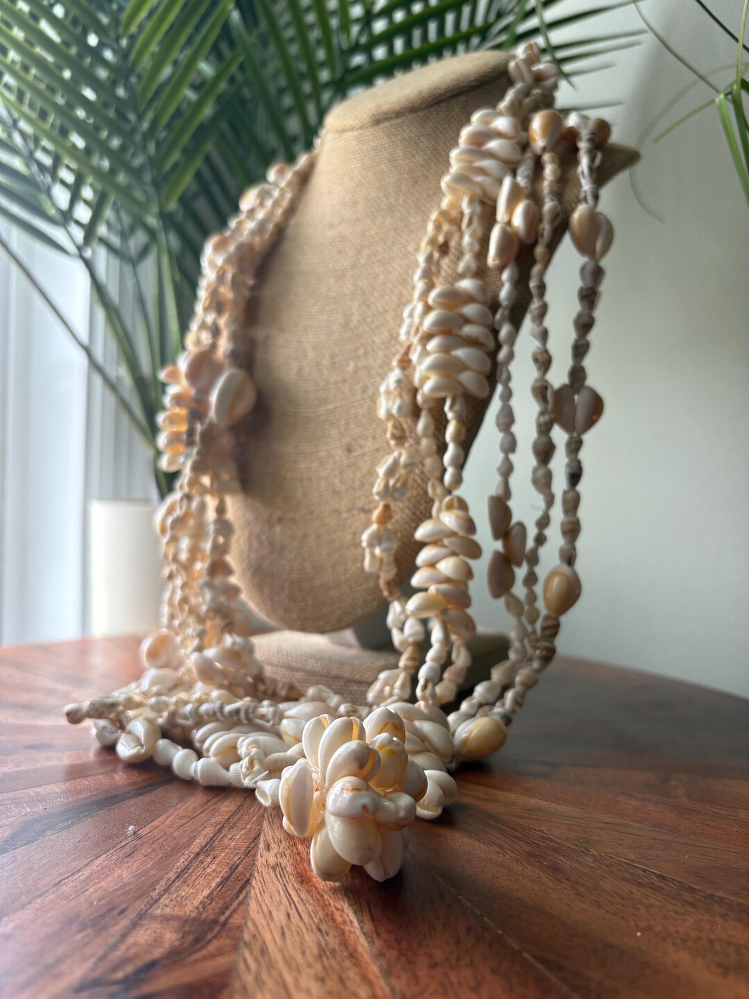 Unique Shell Lei Seashell Lei Collection: Authentic Pacific Shell Leis, Celebration ...