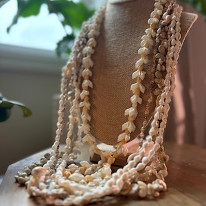 Ensemble de colliers de coquillages du Pacifique : colliers de fête authentiques