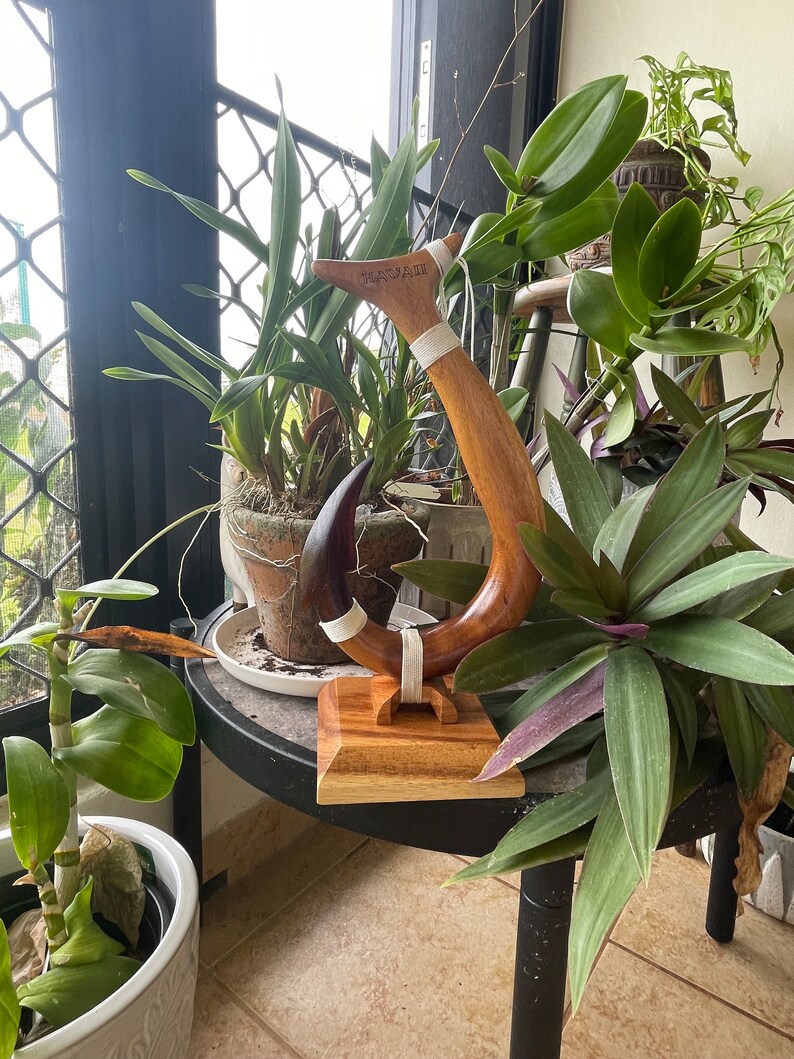 May include: A wooden Hawaiian-style fish hook sculpture with the word "HAWAII" carved into the top. The hook is brown with white accents and sits on a square wooden base. The sculpture is displayed on a small black table surrounded by plants.