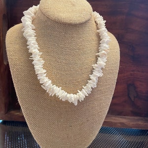 Può includere: Una collana di conchiglie bianche esposta su un busto di gioielleria beige. La collana è composta da piccole conchiglie bianche di forma irregolare infilate insieme. Il busto è rivestito in tessuto strutturato e lo sfondo è una superficie in legno scuro.