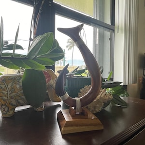 May include: A handcrafted wooden sculpture in a hook shape, featuring a dark brown curved body with a lighter brown base. The sculpture has a white band near the center and is displayed on a wooden stand. Decorative item.