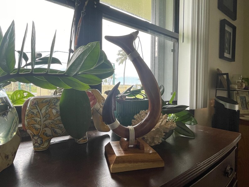May include: A handcrafted wooden sculpture in a hook shape, featuring a dark brown curved body with a lighter brown base. The sculpture has a white band near the center and is displayed on a wooden stand. Decorative item.