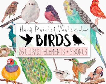 Birds Watercolor Clipart COMMERCIAL | 26 Clip Art Images Website Graphics PNG Transparent Background | Digital Download
