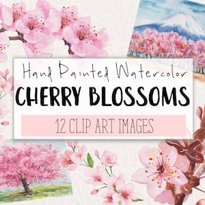 Clipart comercial de aquarela de flores de cerejeira | 12 flores de cerejeira Clip Art gráficos fundo transparente PNG | Download Digital