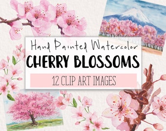 Cherry Blossoms Watercolor Clipart COMMERCIAL | 12 Cherry Blossoms Clip Art Graphics PNG Transparent Background | Digital Download