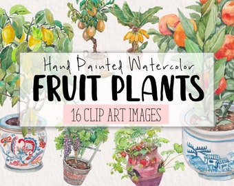 Fruit Plants Bonsai Watercolor Clipart COMMERCIAL | 16 Fruit Plants Clip Art Graphics PNG Transparent Background | Digital Download