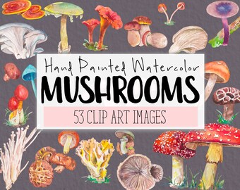 Mushrooms Watercolor Clipart COMMERCIAL | 53 Mushroom Assortment Clip Art Website Graphics PNG Transparent Background | Digital Download