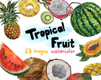 Tropical Fruit Watercolor Clipart COMMERCIAL | 23 Clip Art Images PNG [Digital Download]