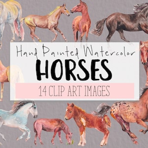 Horses Watercolor Clipart COMMERCIAL | 14 HORSES Clip Art Website Graphics PNG Transparent Background | Digital Download
