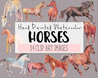 Horses Watercolor Clipart COMMERCIAL | 14 HORSES Clip Art Website Graphics PNG Transparent Background | Digital Download