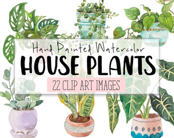 House Plants Watercolor Clipart COMMERCIAL | 22 Indoor Plants Clip Art Website Graphics PNG Transparent Background | Digital Download