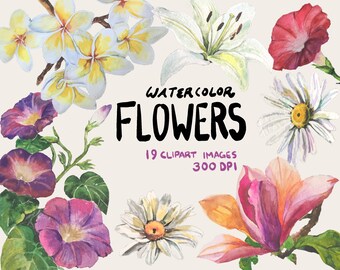 Watercolor Flower Clipart COMMERCIAL - 19 Images PNG Clip Art - Lilies, Daisies, Magnolia, Plumeria, Orchid - Digital Download