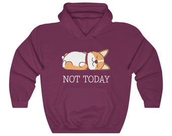 corgi in hoodie