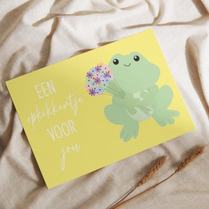 Carta pick-me-up | biglietto allegro | biglietto di auguri | d'auguri con rana e fiori | carta guarisci presto | biglietto di condoglianze | carta di amicizia