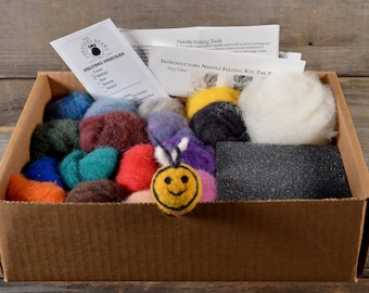 Beginner Needle Felting Kit, Beginner Tutorial for Bee, 16 Colored Wool Bits plus cream, Pad and Needles