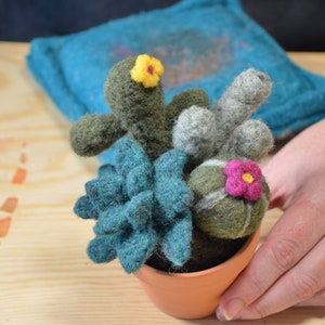 PDF- Needle Felting Digital Download, Succulent Pattern