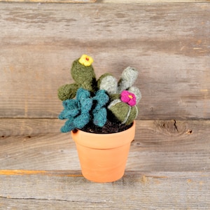 Needle Felting Kit, Succulent/Cacti Arrangement, Cactus Needle Felting Kit