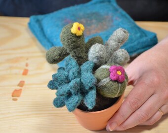 PDF- Needle Felting Digital Download, Succulent Pattern
