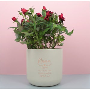 May include: A white ceramic planter with a rose bush inside. The planter has a rose gold inscription that reads "Nana Happy Mothers Day From Hanna, Parisa, Ali."