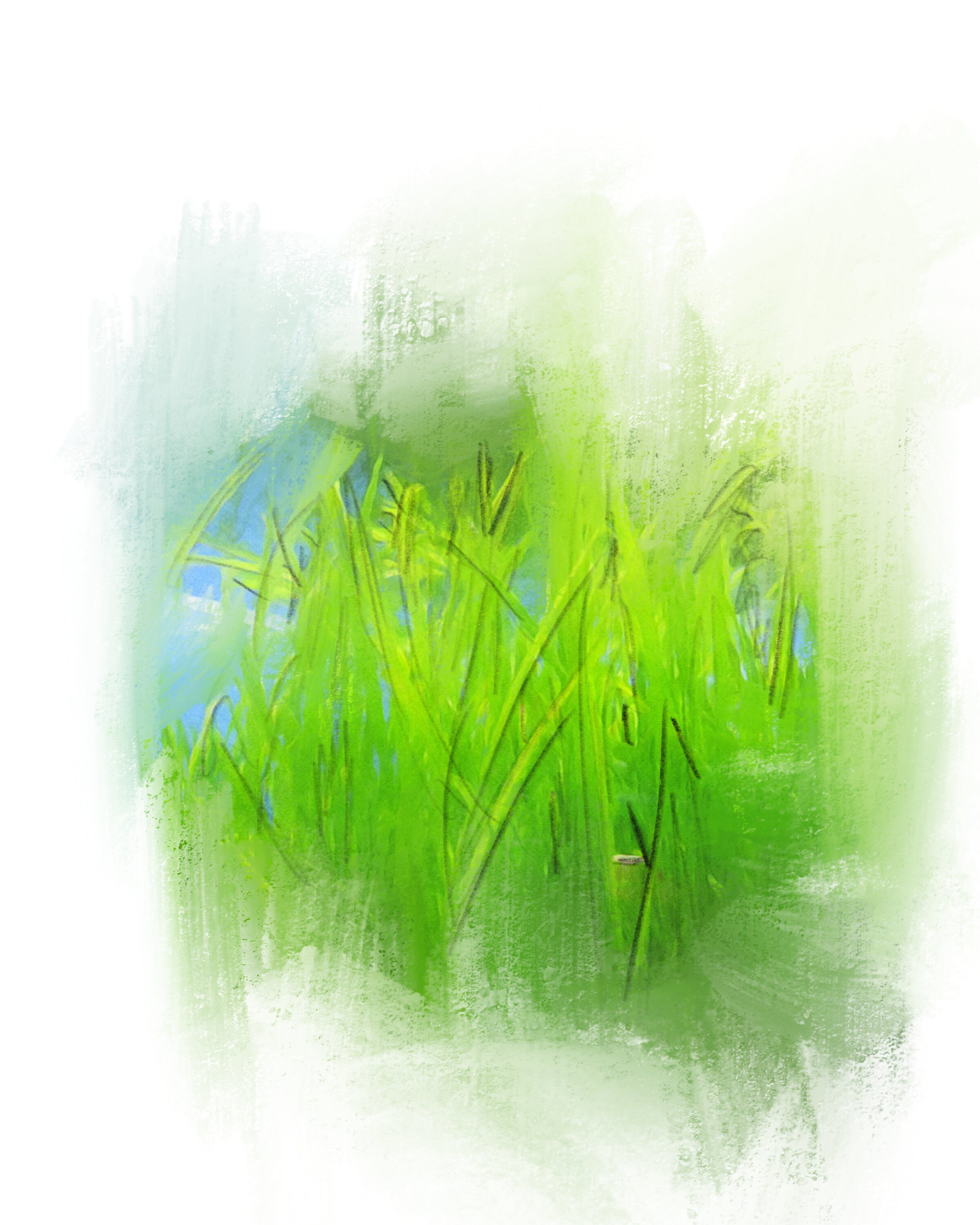 Grass Illustration Wall Art Decor Etsy