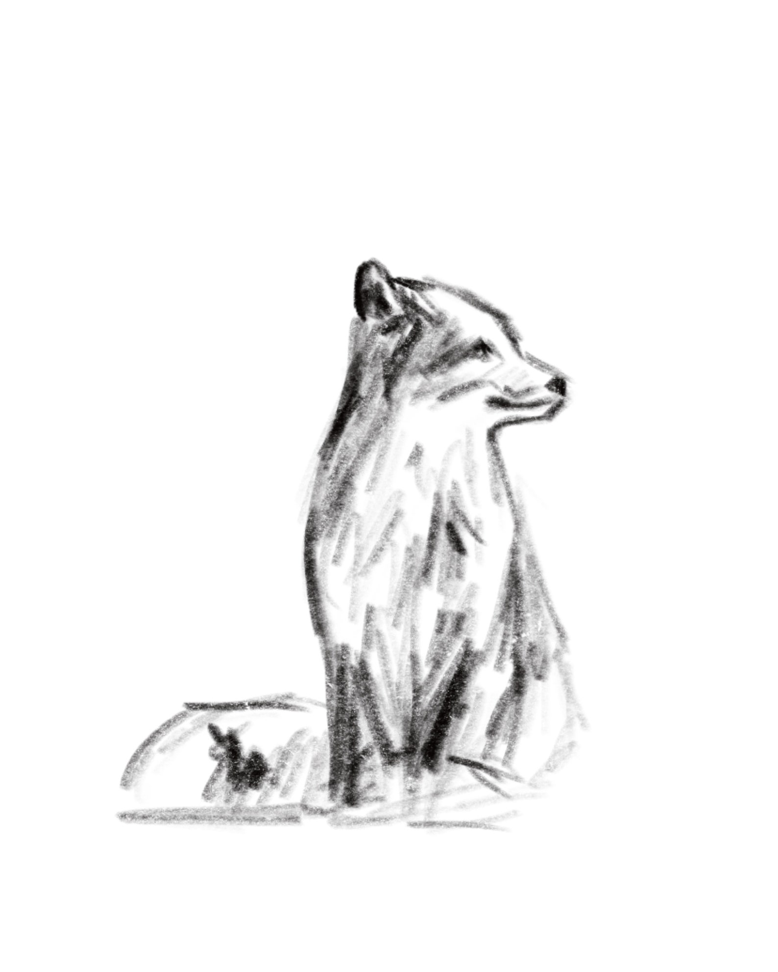 Fox Wall Decor Drawing Animal Art | Etsy