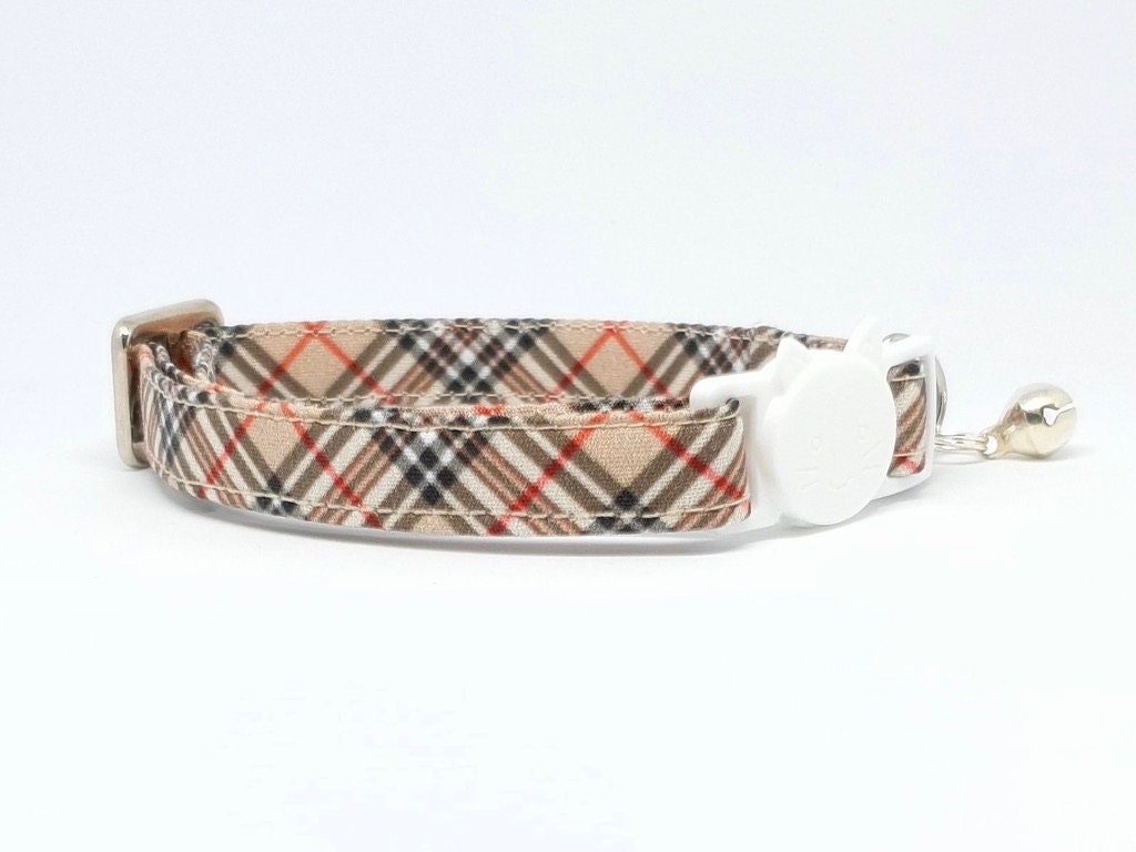 gucci cat collar