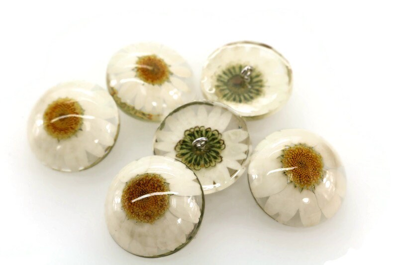 Livy cream flower buttons