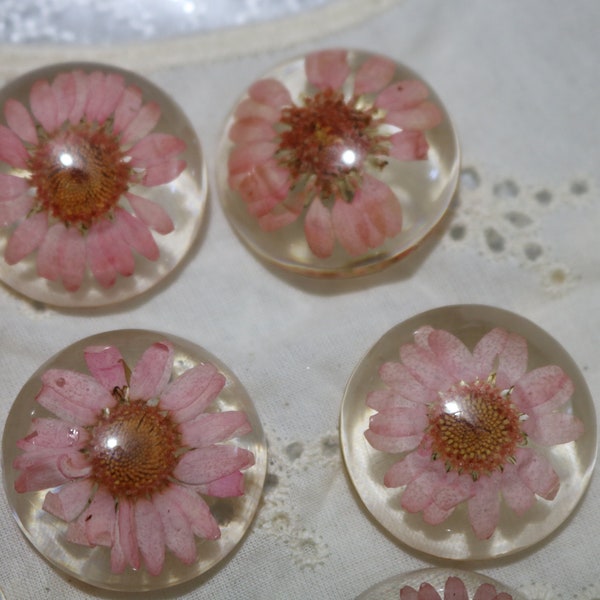 Pink pressed flower button / Pink floral button / Made in Italy  /  Pink button / SOLD BY PIECE