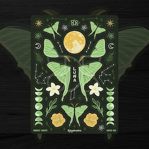 Stickervel Luna Moth, mat waterbestendig, Celestial Art Journal, Witchy Plants laptopaccessoires, cadeau natuurliefhebber, kousvullers